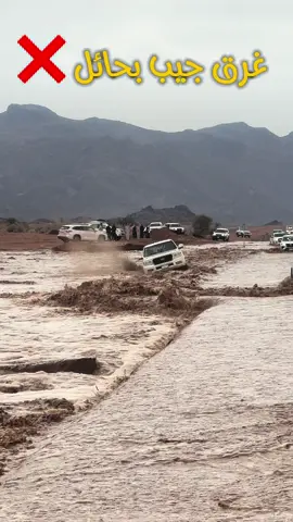 #اليوم_الوطني94 #حايل #حائل #امطاراليوم #حائل_بعد_حيي #حائل_الان #جو #توارن #موقق #مشار #المغواه #fypシ゚ #ترند #funnyvideos #makeup #غرق #شعيب #نقبين #عانقه #السفن #ربع #منقذ 