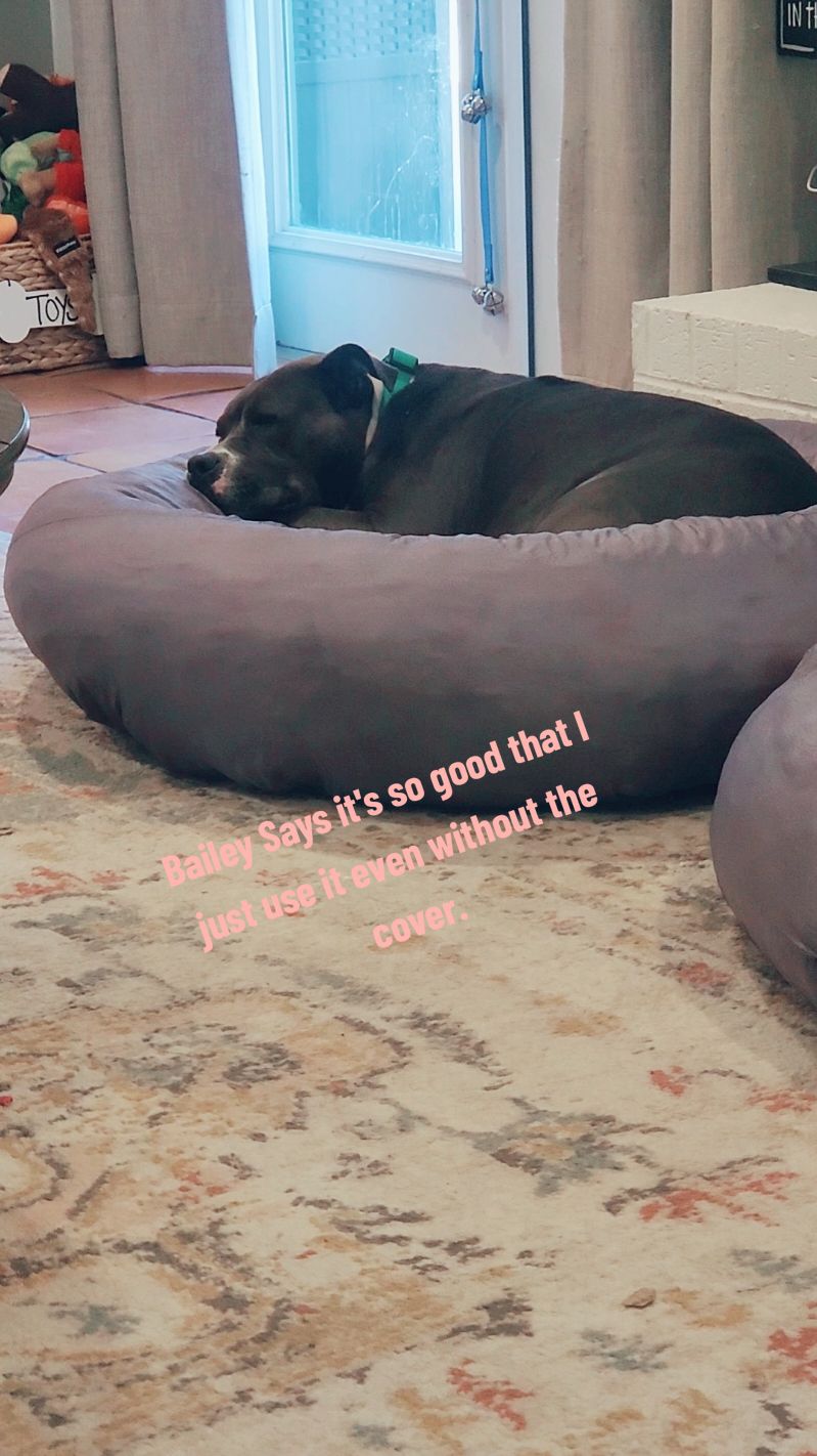 Bailey Girl loves her some Lesure Donut Calming Beds. Even if we are washing the cover. 😅 #dogsoftiktok #tiktokshop #tiktokaffiliate #marketing #tiktokdogs #adorable #tiktokshopfinds #tiktokaffiliatemarketing #tiktokshopaffiliate #shopping #sale #sales #promotion #adorablepets #lesurepet #lesuredogbed #lesuredonutdogbed #lesuredonutcalmingbed #dogbedproducts #tiktokproduct #dogbeds @TikTok Shop 🇺🇸 