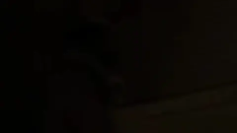 «لەو ڕۆژەوە ڕۆشتووە تۆراوە دڵی من»