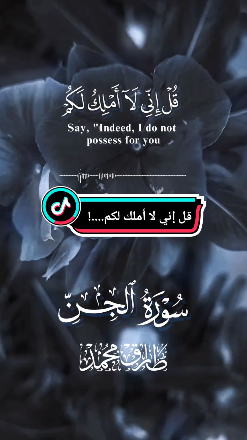 #CapCut #Quran #قرآن #Islam #إسلام #QuranRecitation #تلاوة_القرآن #Muslim #مسلم #Surah #سورة #QuranVerses #آيات_القرآن #QuranKareem #قرآن_كريم #IslamicReminders #ذكر_إسلامي #Hadith #حديث #QuranQuotes #اقتباسات_قرآنية #IslamicQuotes #اقتباسات_إسلامية #Sunnah #سنة #IslamicWisdom #حكمة_إسلامية #LearnQuran #تعلم_القرآن #IslamicTeachings #تعاليم_الإسلام #QuranDaily #قرآن_يومي #IslamicVideos #فيديوهات_إسلامية #HolyQuran #القرآن_الكريم #QuranicVerses #آيات_قرآنية #IslamicKnowledge #معرفة_إسلامية #QuranForLife #القرآن_للحياة #Dua #دعاء #Tafsir #تفسير #IslamicInspiration #إلهام_إسلامي #ProphetMuhammad #النبي_محمد #Allah #الله #IslamicGuidance #إرشاد_إسلامي #QuranChallenge #تحدي_القرآن #Pray #صلاة #Salah #الصلوات #IslamicLifestyle #أسلوب_حياة_إسلامي #Ummah #أمة #QuranicWisdom #حكمة_قرآنية #Jannah #الجنة #QuranLearning #تعليم_القرآن #IslamicMotivation #تحفيز_إسلامي #IslamicTeachings #تعاليم_إسلامية #QuranTeachings #تعاليم_القرآن #IslamicArt #فن_إسلامي #Shariah #الشريعة #Makkah #مكة #Madinah #المدينة #QuranMemorization #حفظ_القرآن #Deen #دين #QuranicLessons #دروس_قرآنية #IslamicCommunity #المجتمع_الإسلامي #PeaceInIslam #السلام_في_الإسلام #QuranReading #قراءة_القرآن #IslamicHistory #التاريخ_الإسلامي #Hijab #حجاب #Faith #إيمان #IslamicDawah #دعوة_إسلامية #MuslimUmmah #أمة_مسلمة #IslamicWorld #العالم_الإسلامي #Barakah #بركة #IslamicBeliefs #معتقدات_إسلامية #MercyOfAllah #رحمة_الله #ProphetsInIslam #أنبياء_في_الإسلام #IslamicKnowledge #معرفة_إسلامية #QuranInspiration #إلهام_القرآن #IslamicPosts #منشورات_إسلامية #IslamicEducation #تعليم_إسلامي #FaithInAllah #الإيمان_بالله #MuslimBelievers #المؤمنين_المسلمين #PrayerInIslam #الصلاة_في_الإسلام #IslamicCulture #الثقافة_الإسلامية #IslamicBrotherhood #الأخوة_الإسلامية #Ramadan #رمضان #IslamicQuotesDaily #اقتباسات_إسلامية_يومية #QuranAndSunnah #القرآن_والسنة #IslamicFaith #الإيمان_الإسلامي #MuslimLifestyle #نمط_حياة_مسلم #QuranicGuidance #إرشاد_قرآني #IslamicMindset #عقلية_إسلامية #QuranStudies #دراسات_قرآنية #IslamicCharity #صدقة_إسلامية #ShariaLaw #القانون_الإسلامي #Tawheed #توحيد #Zakat #زكاة #Halal #حلال #IslamicSisters #أخوات_إسلاميات #IslamicBrothers #إخوة_إسلاميون #Jummah #جمعة #MuslimFaith #إيمان_مسلم #QuranAndIslam #القرآن_والإسلام #IslamicPeace #سلام_إسلامي #FaithInIslam #الإيمان_في_الإسلام #IslamicQuotesInEnglish #اقتباسات_إسلامية_بالإنجليزية #IslamicVirtues #فضائل_إسلامية #MuslimLife #حياة_المسلم #DawahInIslam #الدعوة_في_الإسلام #Hijrah #هجرة #IslamicLove #حب_إسلامي #LearnIslam #تعلم_الإسلام #IslamicStudies #دراسات_إسلامية #IslamicPrayers #أدعية_إسلامية #QuranReflection #تأمل_القرآن #IslamicSpeech #خطبة_إسلامية #Sadaqah #صدقة #IslamicJustice #العدالة_الإسلامية #Iman #إيمان #Fajr #فجر #IslamicMonotheism #التوحيد 