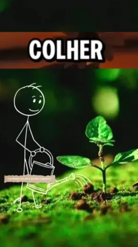 Plantamos e colhemos exatamente a semente que escolhemos. #oracaododia#salmo#fe#status#veciculos