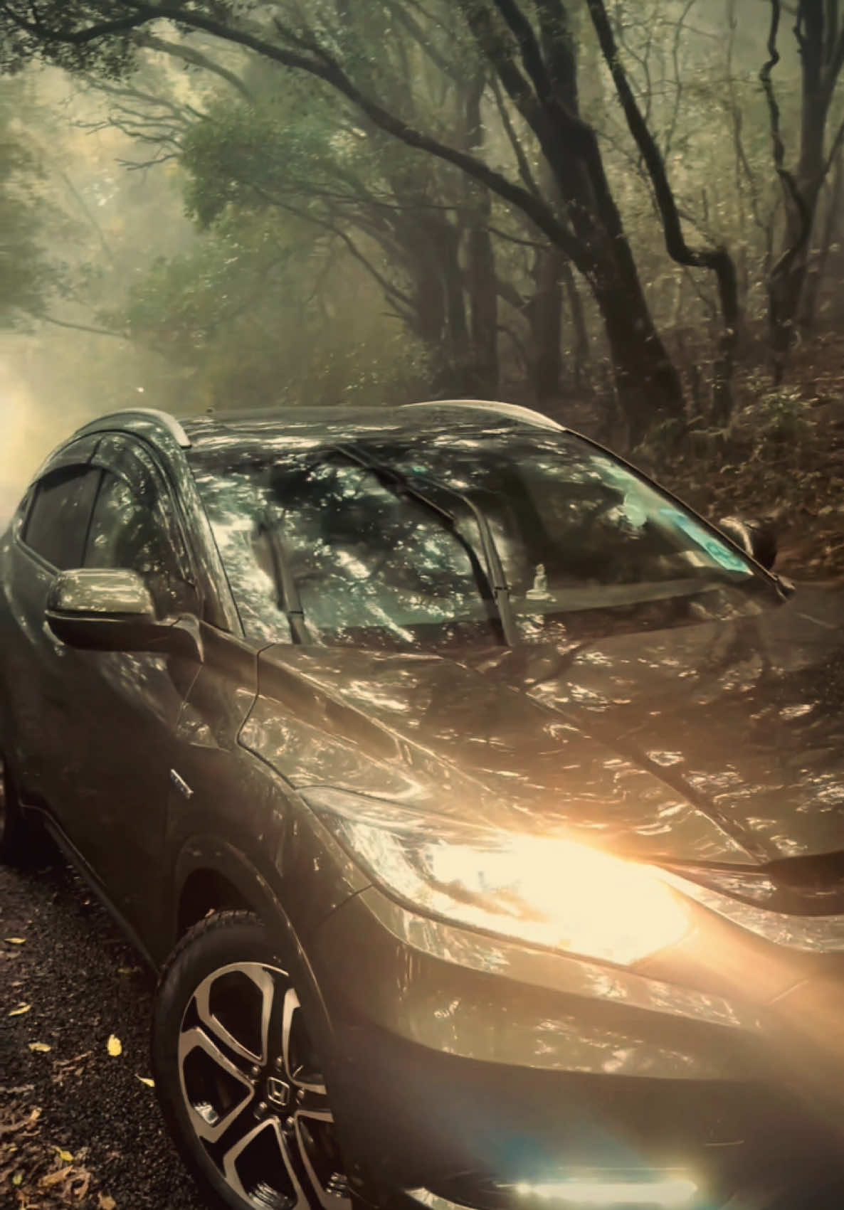 Vezel 🤍✨ #honda #vezel @VEZEL CLUB OF SRILANKA #srilanka #fyp #cars #trending #viral 