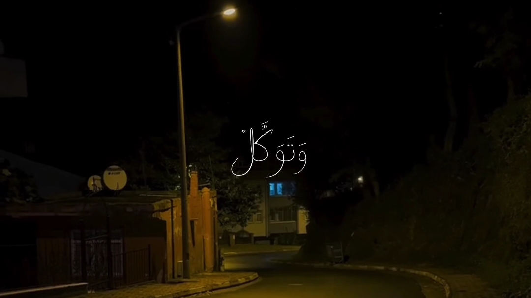 وتوكل على الحي الذي لا يموت ✨🤍 #راحة_نفسية #هدوء_الليل #قران_كريم #قران #ناصر_القطامي 