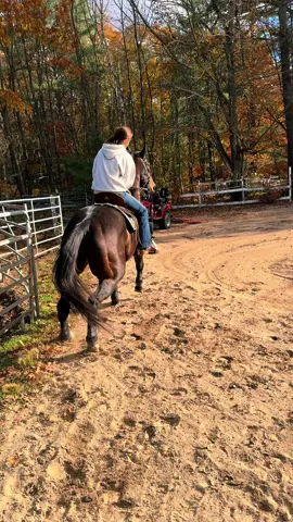 17.0!! So proud of shark man today 🥺