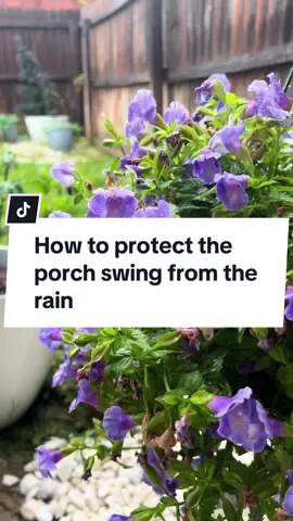 Rainy day with a porch swing. How i protect the porch swing from the weather #porchswing #daybed #wayfair #backyardvibes #rain 