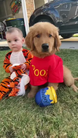 tigger and pooh 🍯