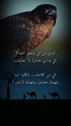#إكسبلوررررررر_explore #foryou #viral #ترند_تيك_توك #fyp 