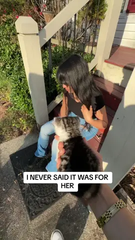 Surprising Her With A Kitten #funnyvideo #cute #kitten #cat #fyp #foryoupage