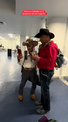 Bronco y Caballito en el aeropuerto de Las Vegas Nv ! #airport  #LIVE #lasvegas #bronco956 #baile #funny #funny #trending #caballito 