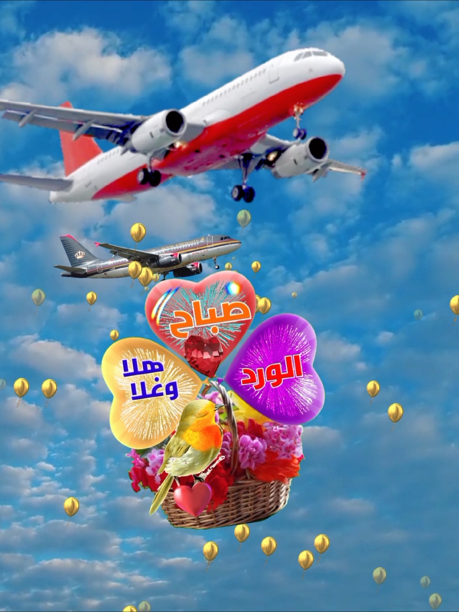 #تصميمي_انا #alialhoot #حياة_الصباح #كل_العرب_احباب #صباح_الووررد 