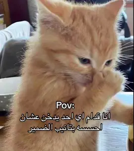 #دخان 