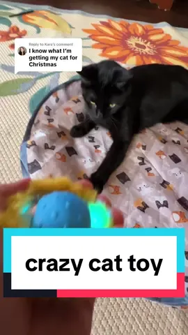 Replying to @Kara The only thing i hate is my loves it more than me now #cattoys #cathealth #cattok #tiktokshopblackfriday #tiktokshopcybermonday 