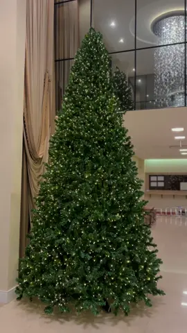 🎄5 metros de puro charme! Mais um belo trabalho da nossa equipe!🎅🏻 #merrychristmas #merrychristmas🎄 #merryxmas #christmas #natal #navidad #feliznavidad #feliznatal 