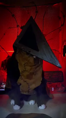Purramid Head #SilentHill #PyramidHead #horror #spooky #catcosplay #cats #costume #cosplay #halloween2024 #videogames 