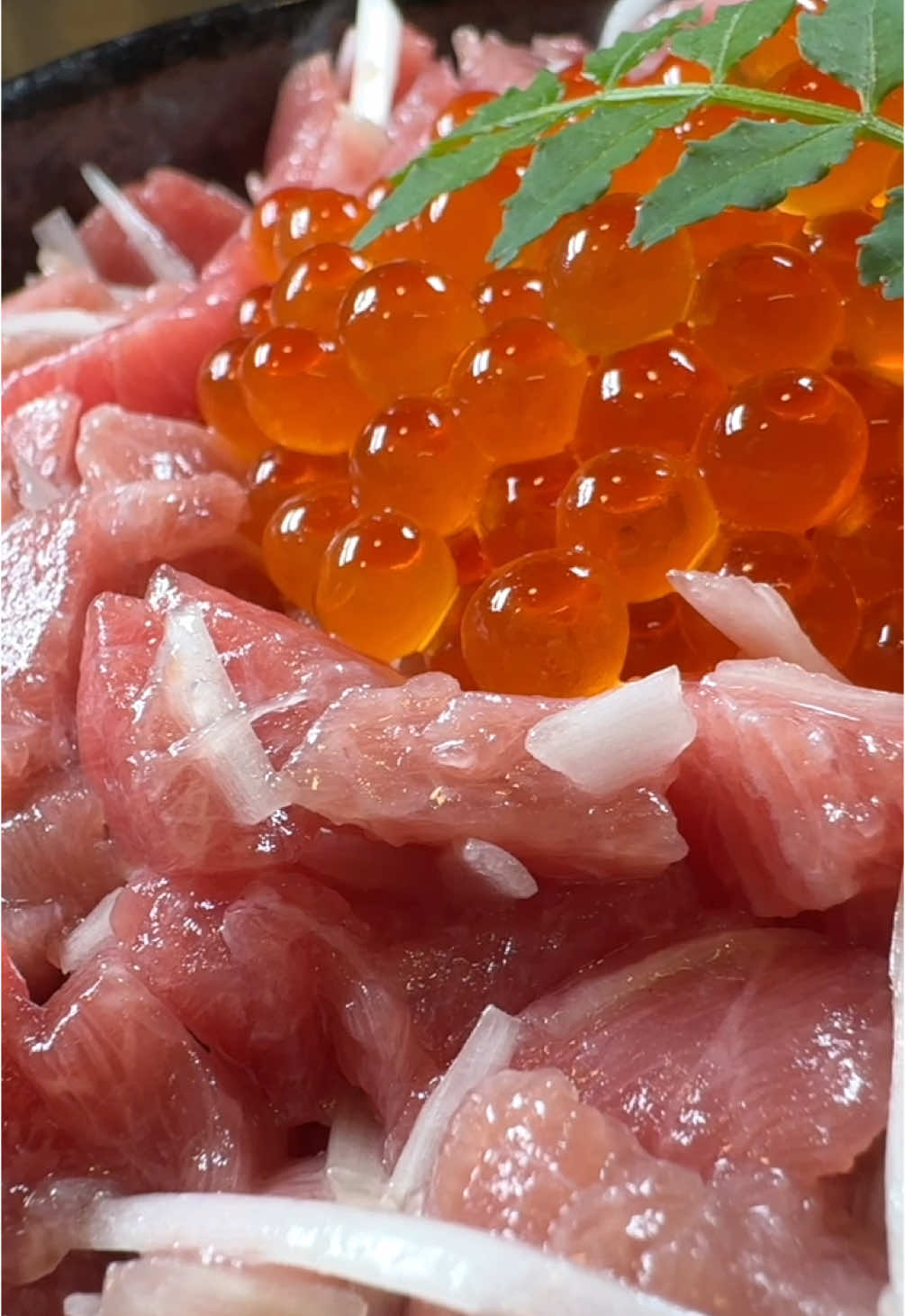 Mold aged tuna bowl. カビトロ丼第二弾。 #moldagedfish #moldagingfish  #tuna #bluefintuna  #本マグロ #カビ熟成魚 #ケカビ 