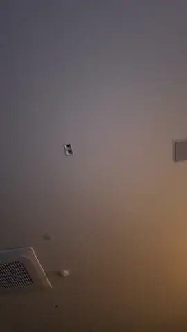 Gata @Priscila evellyn 