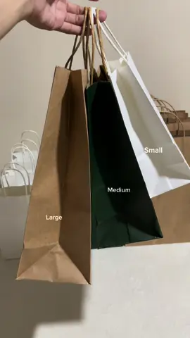 Paper bag #bag #paperbag #lootbag #giftbag #giveawaybag #tiktokfinds #fyp 