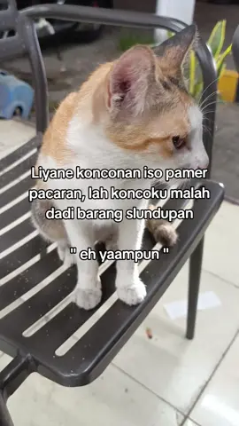 eh yaampun #fyppppppppppppppppppppppp #fyp #fypシ゚viral 