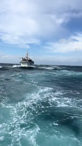 pesona mesin tempur⚓️#fishingkorea🇲🇨🇰🇷 #sukolilopati 