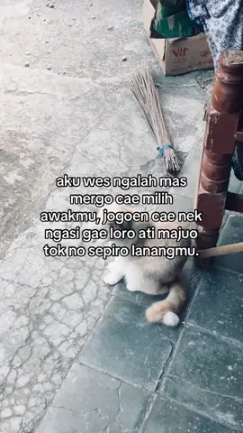 majuo nko tak mlayu #fyp 