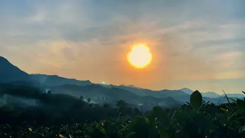 Chill cùng mình nhé #xuhuong #xuhuongtiktok #chillmộtchút #doichelongcoc #yeuthiennhien 
