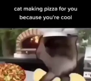 Cat making pizza #cats #cat #catsoftiktok #cattok 