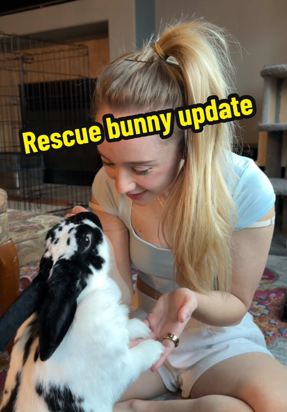 Rescue bunny update❤️