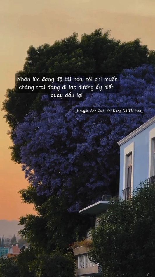 chỉ tiếc chàng trai ấy vẫn mãi lạc đường #tieuthuyet #xh #viral 