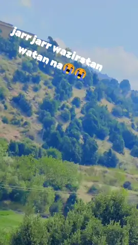 😭😭😭😭😭😭😭 