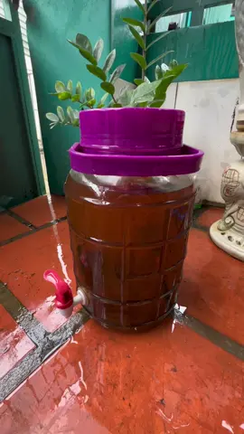 Bình rượu ngâm 2-3 năm, rượu thì nấu kiểu thủ công xưa + mở trầm cũng không ít tiền mà giờ phải đổ bỏ.  Trầm kỳ vì quý nên thường Ae đam mê hay ngâm để mời khách nên cũng xin chia sẻ với Ae kinh nghiệm của mình  1. Việc đầu tiên dĩ nhiên phải lựa chọn mua những mẫu trầm chuẩn tự nhiên hoang dã núi rừng (chuẩn hay không phụ thuộc nhiều vào tâm người bán).  2.Đồ ngâm rượu hiện nay đa phần là xỉa sẳn vì mẫu mã đẹp Ae chỉ việc về ngâm mà đã xỉa sẵn thì Ae cứ hỏi thẳng có bị dính keo 502 hay này nọ gì không vì mình đã bị, rượu trầm ngâm gì mà uống đắng kinh khủng.  3.Vì vậy theo ý mình, khuyên luôn Ae chọn những mẫu trầm chưa xỉa cứ để nguyên thủy vậy về ngâm, kệ xấu xấu nhưng kết cấu nó chuẩn...uống tẹt ga khỏi phải lăn tăn.  P/s bỏ tiền ra chơi mà uống phải thứ độc hại lại chết dở...đồ mình không dám dùng nhưng Ae nghe bỏ lại cứ xin thì làm sao có thể cho thứ mình không dám dùng...thôi đổ bỏ ngâm lại.