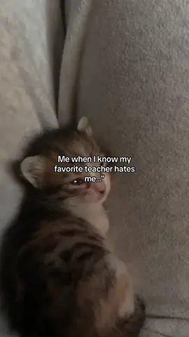 Would cry fr #teacher #teacherattachment #femaleteacher #favouriteteacher #favouriteperson #History #xyzbca #fypage #fyp 