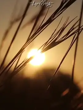 Simanyi by Dre Cali #drecali #drecalimusic #lyrixing #ugandan_music #ugandanstiktok #lyrics_songs #foryoupage❤️❤️ #fyp #fyppppppppppppppppppppppp #fypviralシツ♡