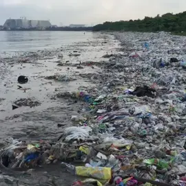 This is what were doing to our planet#savetheworld #globalwarming #pollutedocean #pollution #polarbears #antarctica #litter #savetheplanet #fyp 