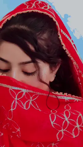 Toor Banra Gazab Lari♥️🥰#foryoupage #foryou #viral #growmyaccount✅ #viralvideo #fyppppppppppppppppppppppp #growaccount #pakistani_tik_tok 
