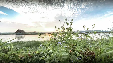 #CapCut Chill and relax . #capcutvntn #edm #chill #sky #sun #viral #foryou #fyp 