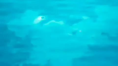 raw 60fps🗿🗿#xhtiktok#naruto#🎧bìnhedit🎶#fyp#uzumakinaruto#animetiktok#uchihasasuke 