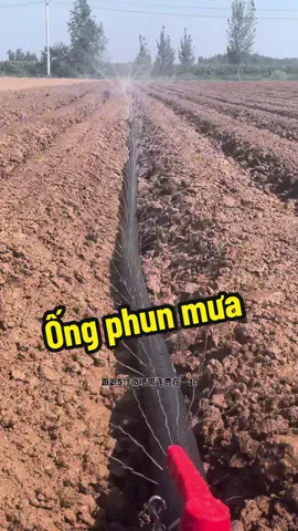 Ống tưới phun mưa tưới cây #tuoiphunmua #bangtuoiphunmua #ongphunmua #tuoicay 