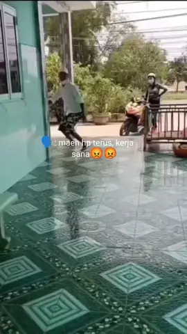 berang-berang makan coklat,berangkat