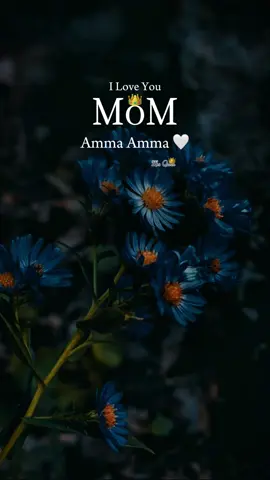 #ammaamma #mkumaran #mkumaransonofmahalakashmi #mkumaran😍 #neeyeneeye #neeyeneeye_naneneeye #neeyeneeye❤️ #neeyeneeye❤️ #neeyeneeyesong #thaaladdidum #thanthaineeye #thozhanneeye #nilavaaga_naan_vilaiyaada #jeyamravi #amma #ammasong #ammasongtamil #ammasongs #ammasongwhatsappstatus #fyp #ammasongstamil #ammastatus #ammasongstamil🥺❤ #mom #fy #momson #ammastatustamil #ammastatusvideo #fypage #fypシ #ammastatussong #momlove #momlover #momlovebaby #bgm #momlovers💝 #mother #song #mothersday #motherdaughter #motherlove #mothersdaygift #mothersdayspecial #happy #vira #status #statusvideo #mummy #mummylove #happymothersday #ammailoveyou #Love #loveyou #ammawhatsappstatustamil #view #views #tiktokviral #mom #ammalovesong#ammasonglyric #ammasonglyricstamil #bestmom #ammabest #bestmother #ammawhatsappstatus #viral #viraltiktok #viralvideo #ammawhatstatus 