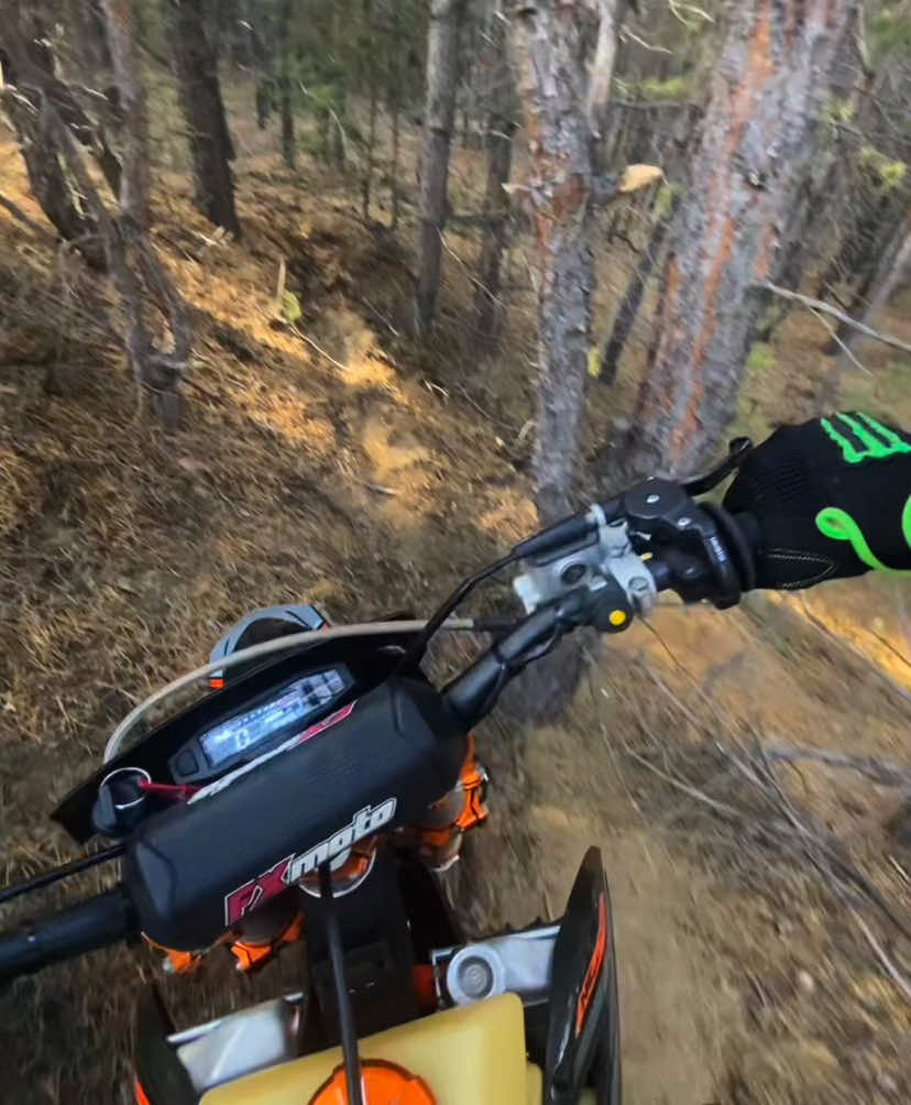 #moto #motorcycle #fxmoto #300cc #enduro #мото #мотоцикл #x7 #эндуро #forest #лес 