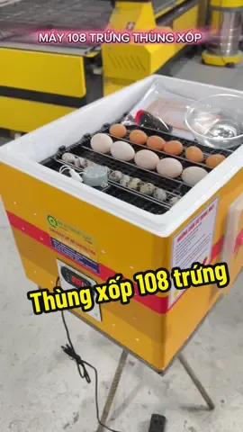 Máy ấp trứng thùng xốp 108 trứng hoàn thiện đảo tự động #mayaptrung #mayaptrungthungxop #mayaptrungga #aptrung #mayaptrungdatquang #mayaptrungthongminh #mayaptrungmini #mayaptrungcarbon 