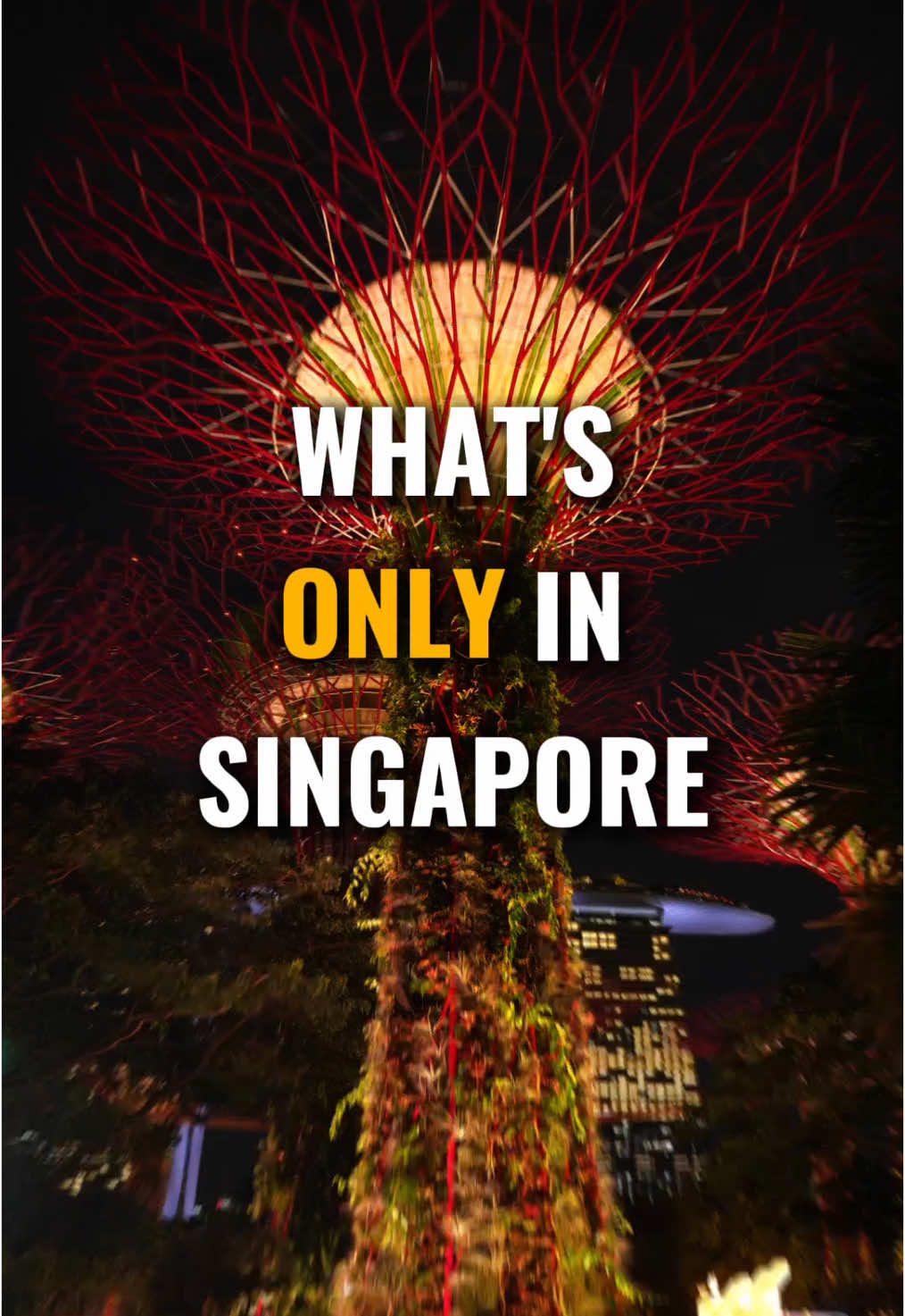 Share what makes Singapore unique in your video, and you could be the prize winner!🏆✨ 🤩Here’s how to join:  1⃣️Follow trip.com_sg. 2⃣️Post a TikTok video showcasing your unique experiences in Singapore, starting with 