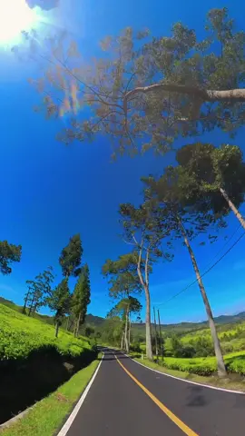 #CapCut syahdu banget emamg ciwidey di hari biasa 🤩🤩🤩 #sejuk #ciwideybandung #xsr155indonesia #fypシ #ciwidey #kebunteh 