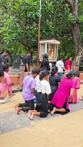 බොරුනම් එක වතාවක් ගිහින් බලන්න 😌🤍 #viral #trending #foryou #foryoupage #fyp #fypシ #kurusapalliya  #kurusapalliya #marawila_srilanka #church