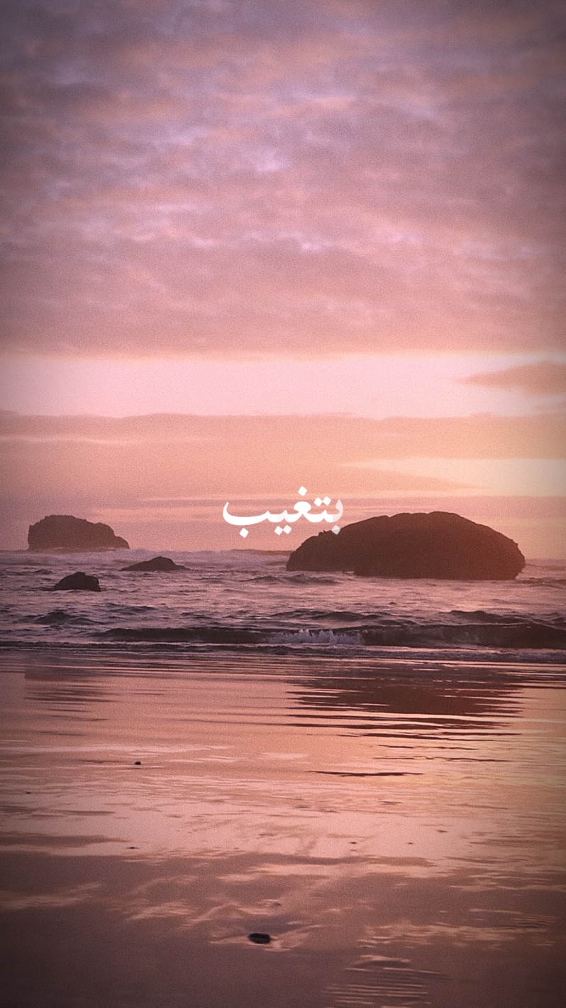 بتغيب بتروح 🩶 راغب علامةxاليسا #arabicsong#fyp #viral #songs #arabic #musica #ترند #اغاني #الكيتش_العربي_الأصيل #loveyou #اليسا #loveyou #foryou #اليسا_ملكة_الاحساس #راغب_علامة #بتغيب_بتروح 