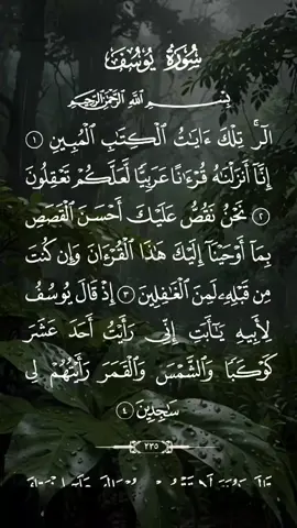 سورة يوسف مكتوبة كاملة بصوت خاشع ومؤثر #ياسر_الدوسري #قران #القرآن_الكريم_ترند #سورة_يوسف #امام_الحرم #نفع_الله_بكم_الاسلام #المؤمنون_بالله_وحده #حافظواعلى_الصلاة #لاتكفروا_بالله #خاشع_ومؤثر #صلوا_على_خير_البشر_تغنموا 