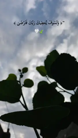 ”﴿ وَلَسَوفَ يُعطِيكَ رَبُكَ فَتَرْضَىٰ ﴾🤍🍃 #ولسوف_يعطيك_ربك_فترضى 