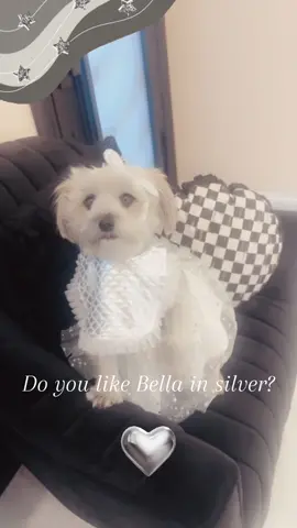 #dog#animal#cutebaby#of#tiktok#cutest#fypシ 