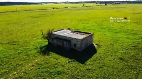 ياعليك جيت يادار زعلان ❤️‍🩹 #المرج_بنغازي_البيضاء_طرابلس_ليبيا #fyp #محمد_بوسته_الشاعر_الليبي #صوب_خليل #بنغازي_طرابلس_ترهونه_رجمة_سرت_طبرق #افواهق_عقلي #مطروح_وهلها🔥💪😎 #برقة_ليبيا_بنغازي_طرابلس_اجدابيا #ليبيا🇱🇾 #libya #البيضاء_الجبل_الاخضر 