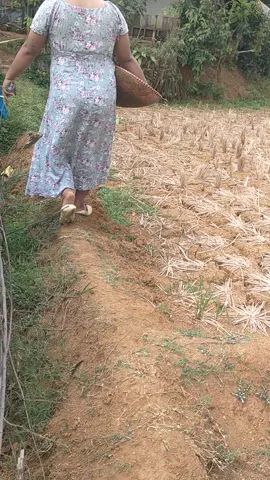 sumpah pengen ngejambak